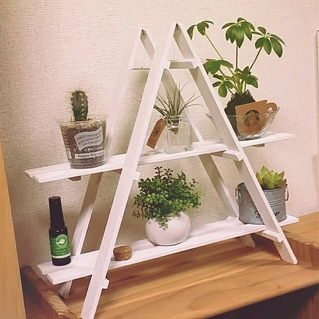 oidonさんの実例写真