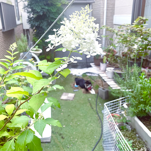 mo-nosukeさんの実例写真