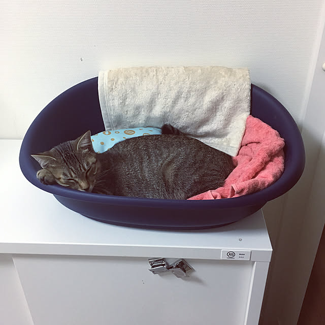 mikomaruさんの実例写真
