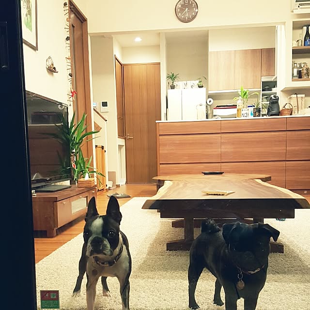massui42さんの実例写真