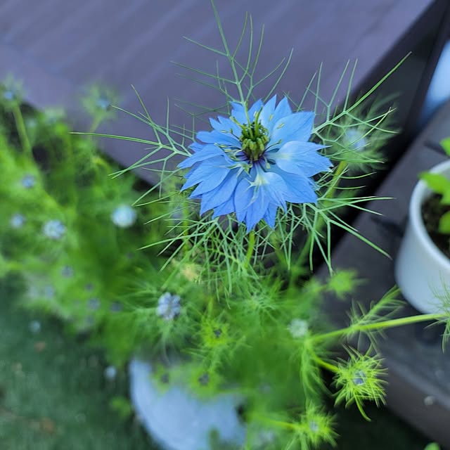 VIORAさんの実例写真