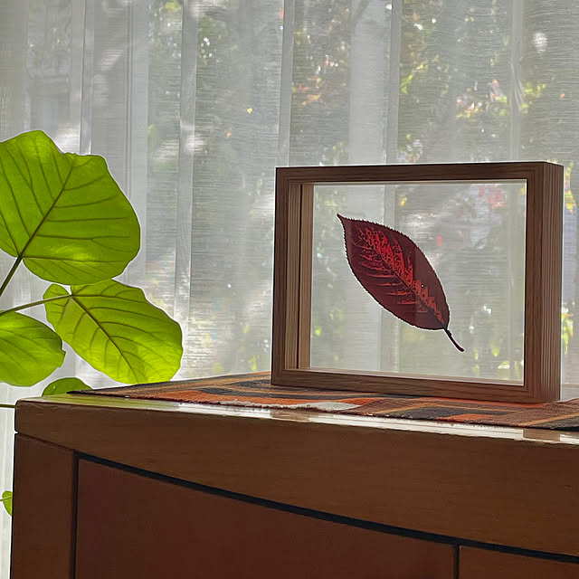 nobikoさんの部屋