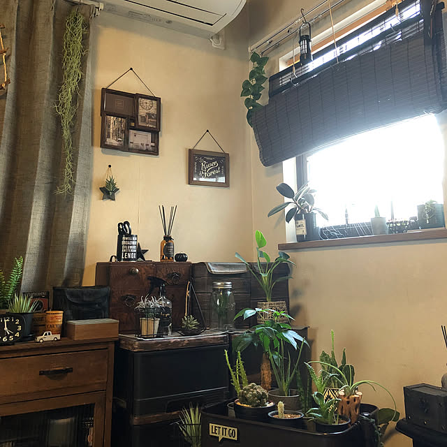 rintarotantan7さんの実例写真
