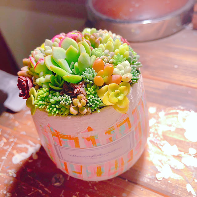 多肉植物/多肉植物用/さぼてん＆多肉/イロドリフカミドリ/フカミドリ...などのインテリア実例 - 2020-09-06 21:21:48