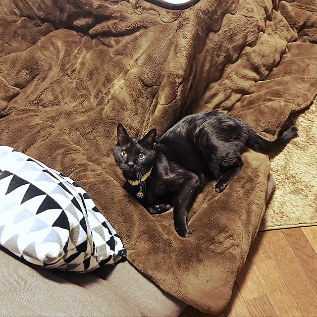 minmiさんの実例写真