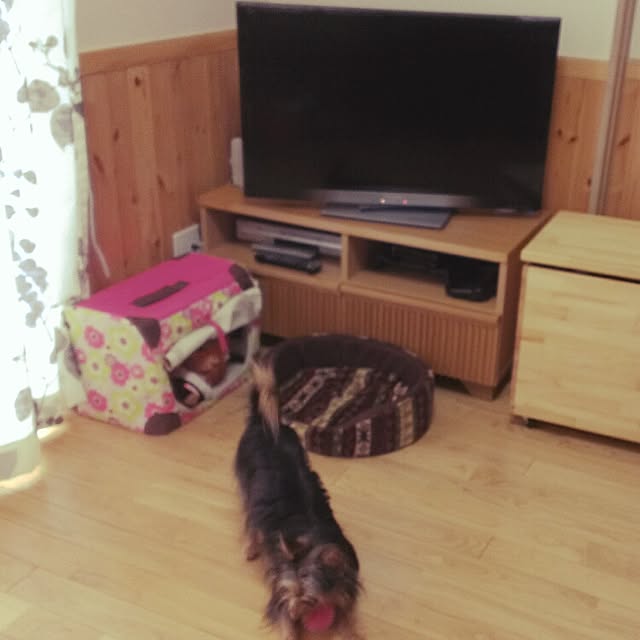 ripunderlineno5さんの実例写真