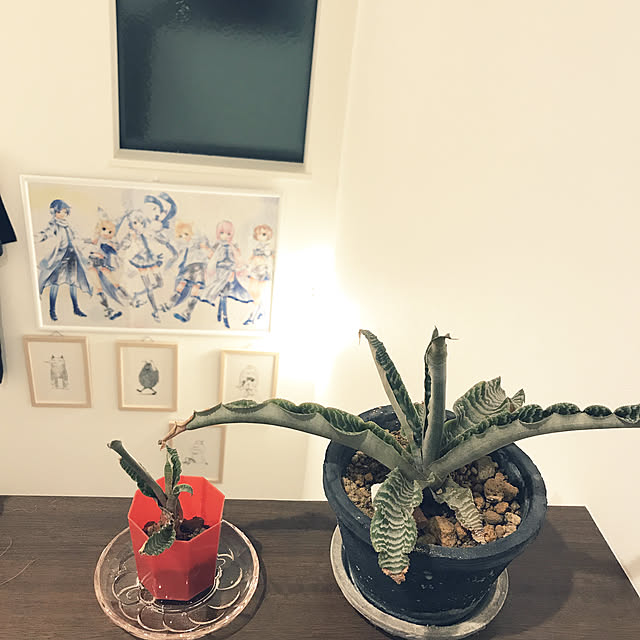 yukiby2さんの実例写真