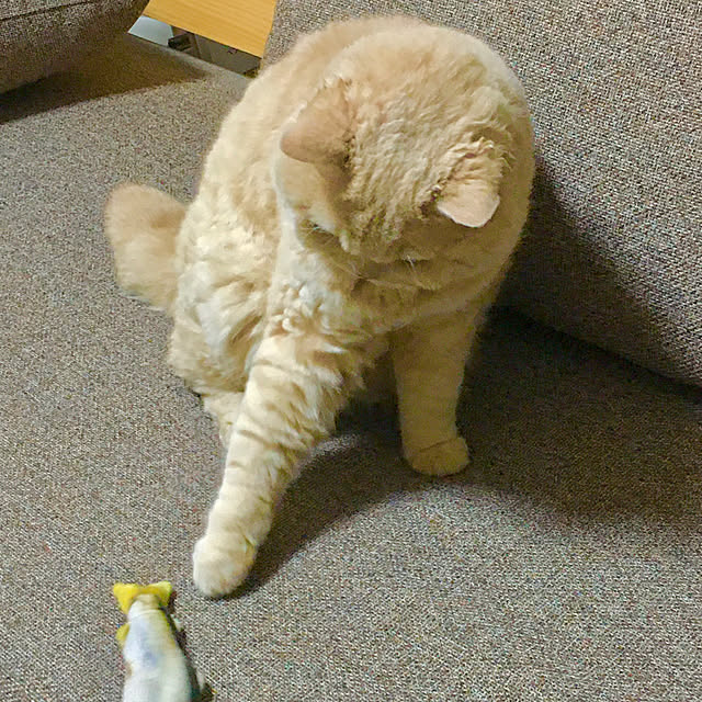 naokoさんの部屋