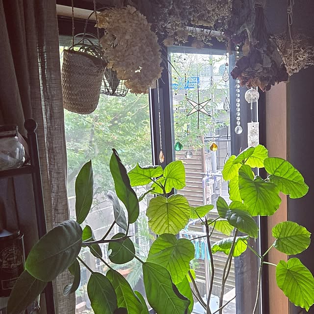 MIARAさんの部屋