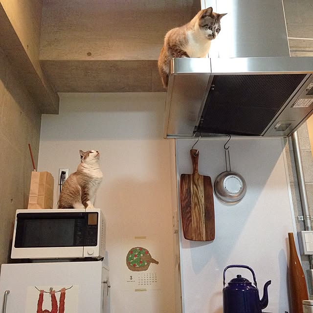 NEiGEDROiTさんの実例写真