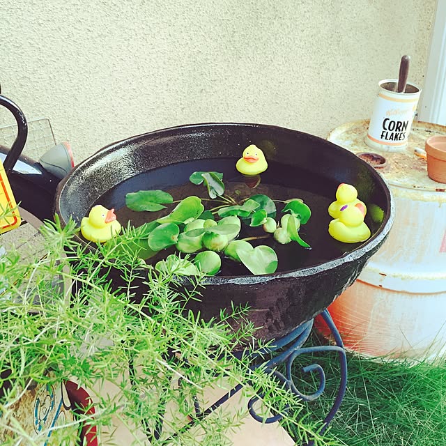 mie3855cocoさんの実例写真