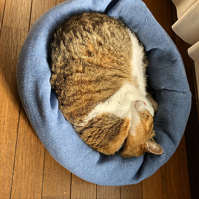 chacoさんの実例写真