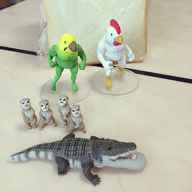 annさんの実例写真