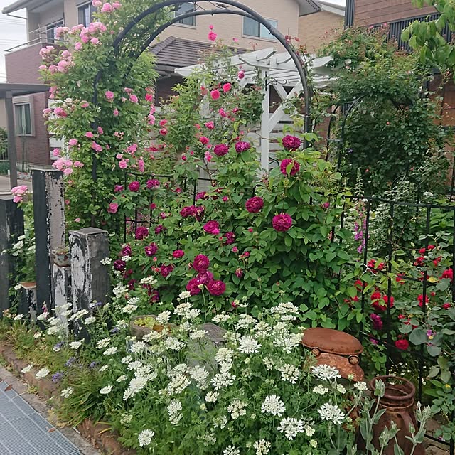 tomotomoさんの実例写真