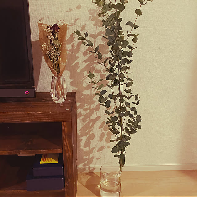 一人暮らし/観葉植物/ドライフラワー/壁/天井のインテリア実例 - 2021-01-26 00:50:55