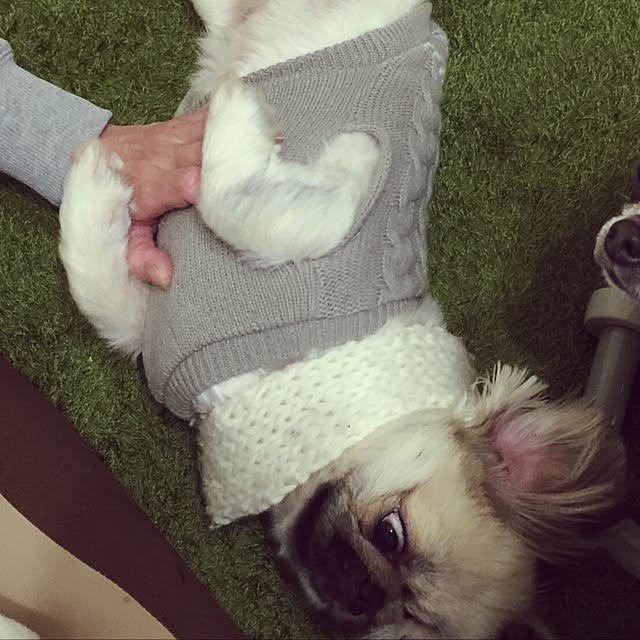 実例写真