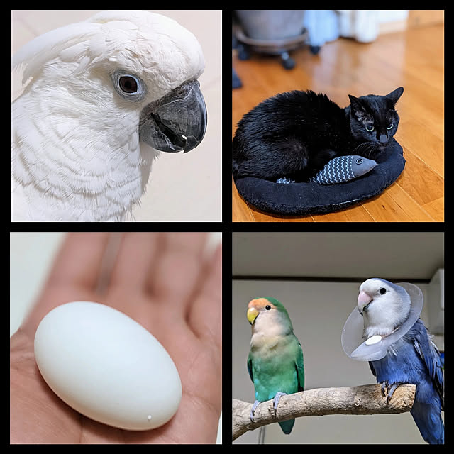 aromameさんの実例写真