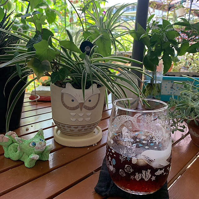 Aqettyさんの部屋
