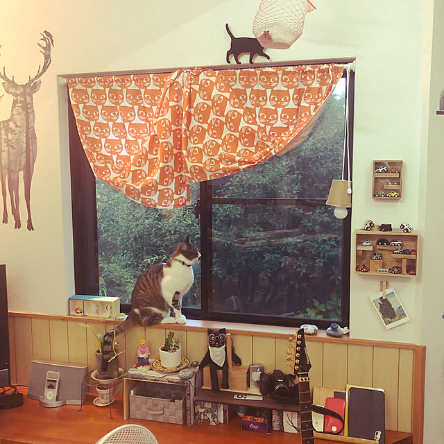 jijiさんの実例写真