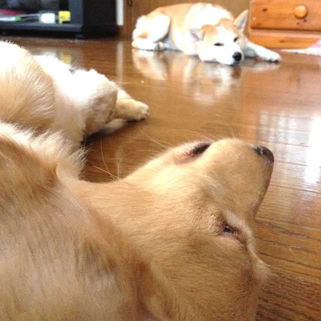 Kouheiさんの実例写真