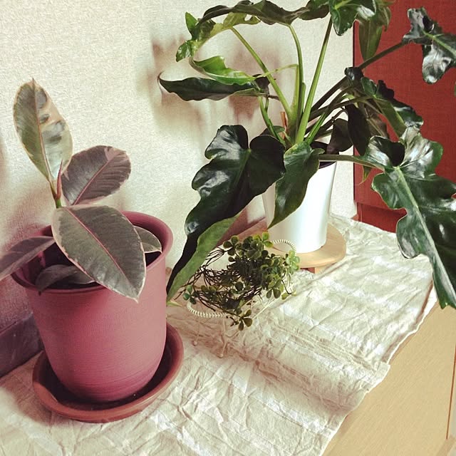 yurihirataさんの実例写真