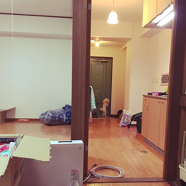 sei.hugさんの実例写真