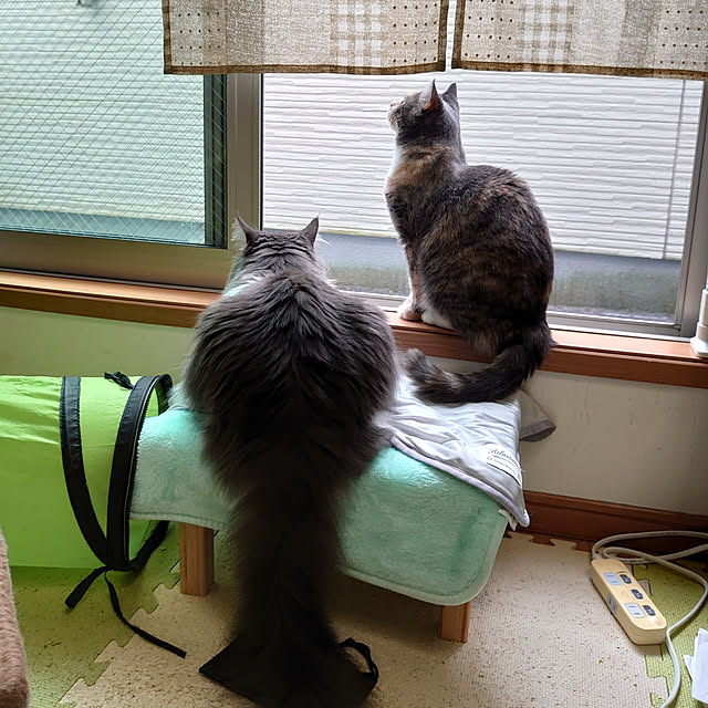 shinobuさんの実例写真