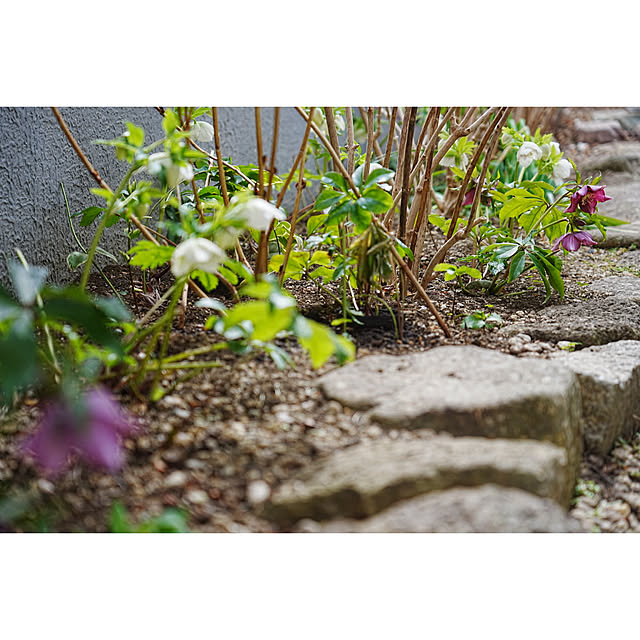 haruisabelさんの部屋