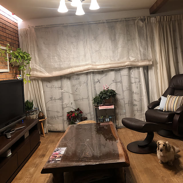 katsuwoさんの実例写真