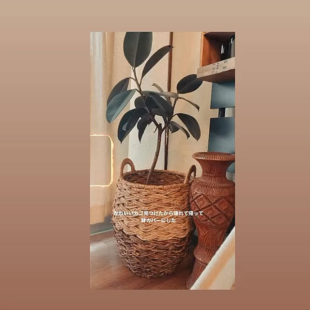 native_gypsyさんの実例写真