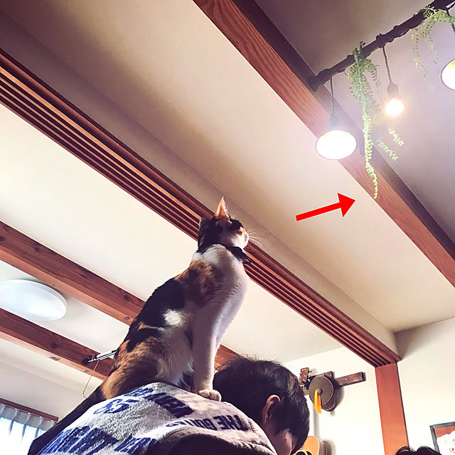 maroさんの実例写真