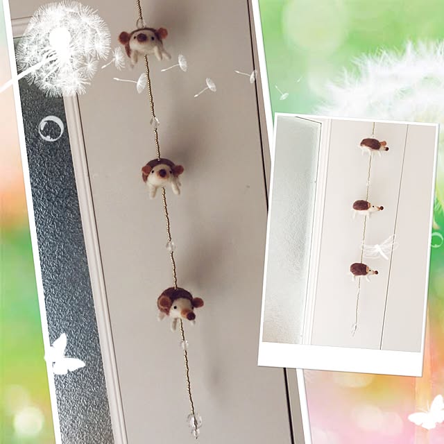 kusuttoさんの実例写真