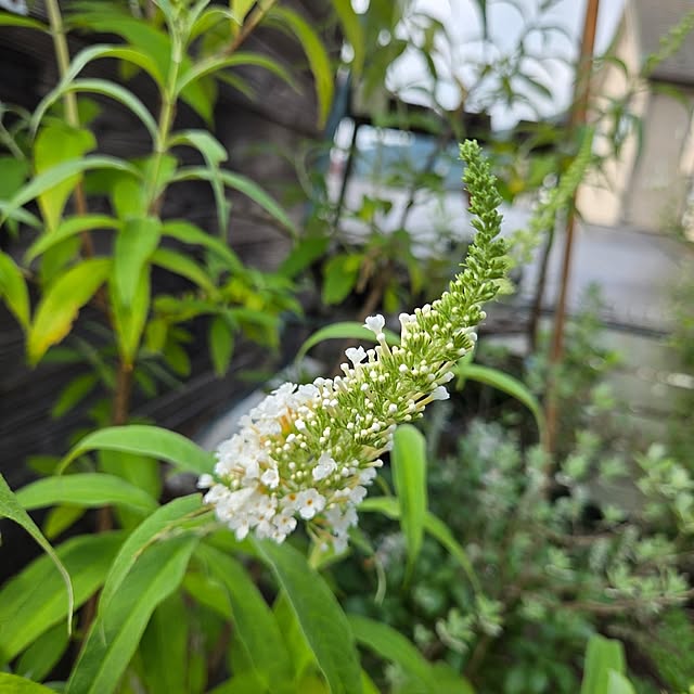 min_nimさんの部屋