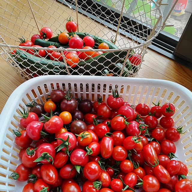 tomoさんの部屋