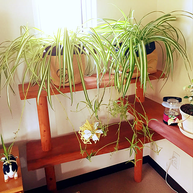 nanaさんの実例写真