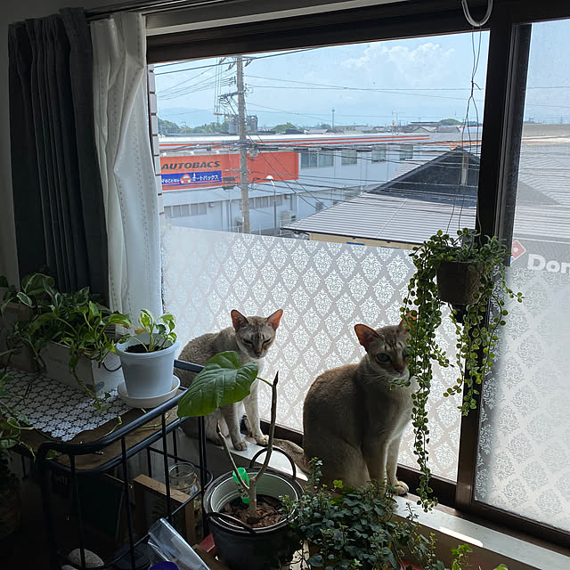chieemako1114さんの実例写真