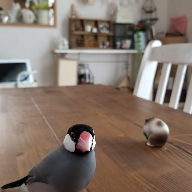 miiさんの実例写真