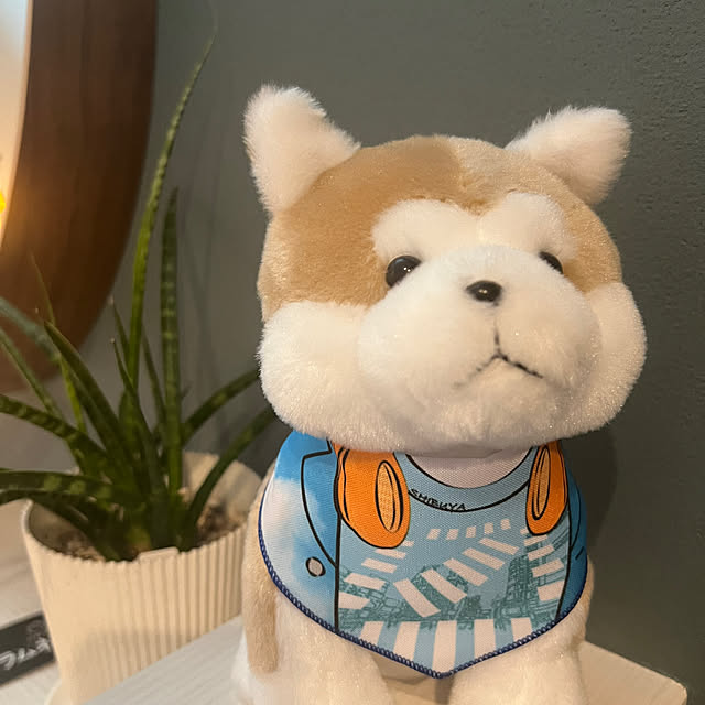 fumfumさんの実例写真