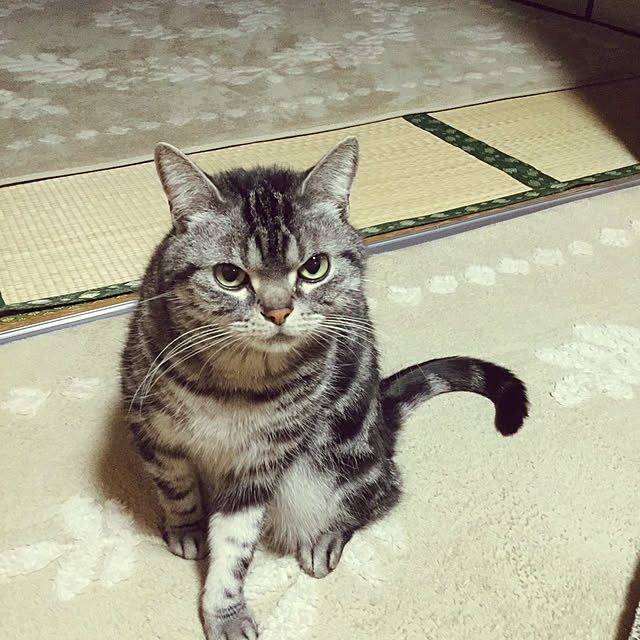 richanさんの実例写真