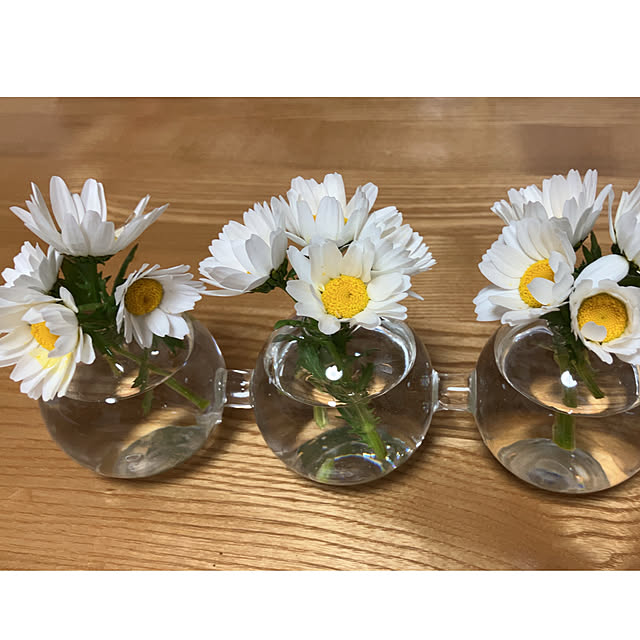 koroさんの部屋
