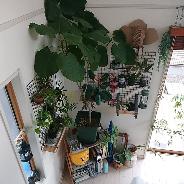 urchinさんの部屋