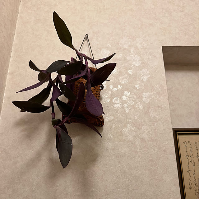 mamizaさんの部屋