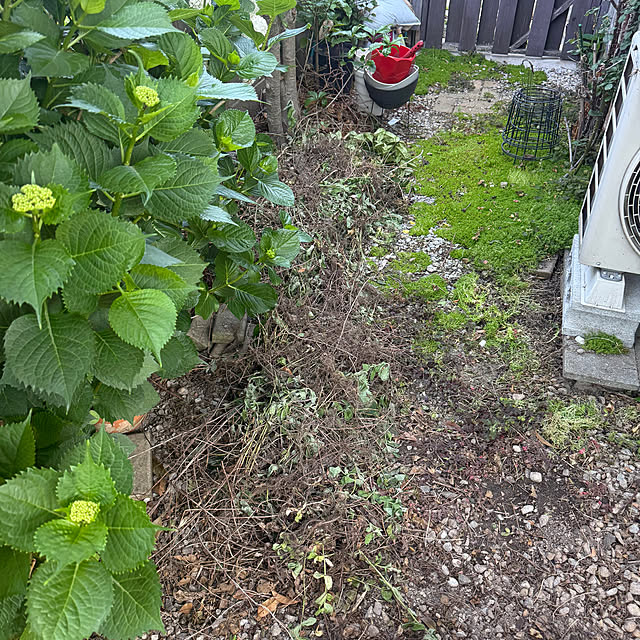 prelumoさんの部屋