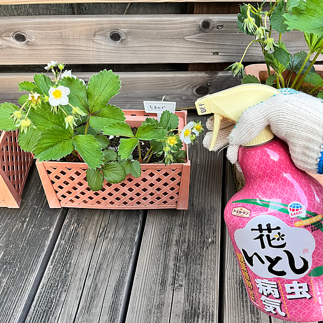 Saiiiさんの部屋