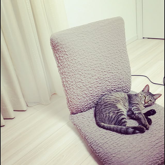 pekopekomanさんの実例写真