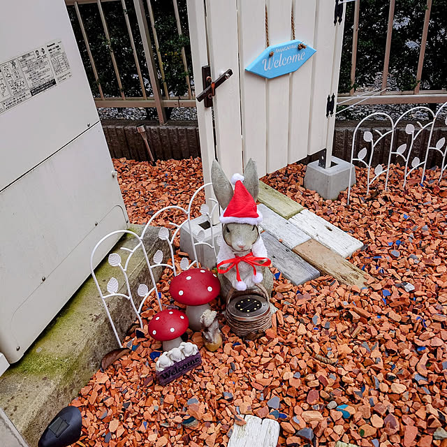 壁/天井/裏庭/Xmasディスプレイ/ねこのいる日常/猫と暮らす...などのインテリア実例 - 2022-12-05 18:24:28