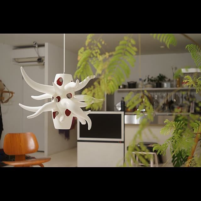 Design papa Ka-tuさんの実例写真