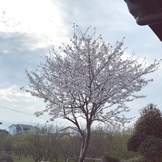 bobb2081さんの実例写真