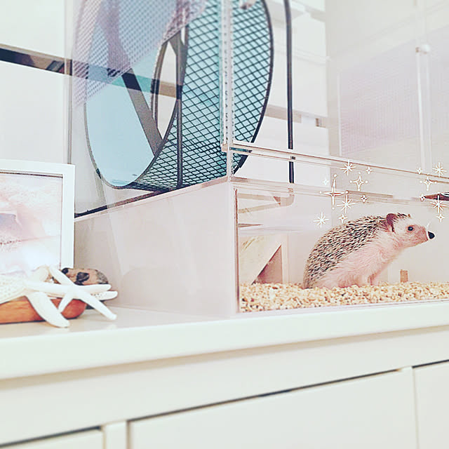 chel_homeさんの実例写真