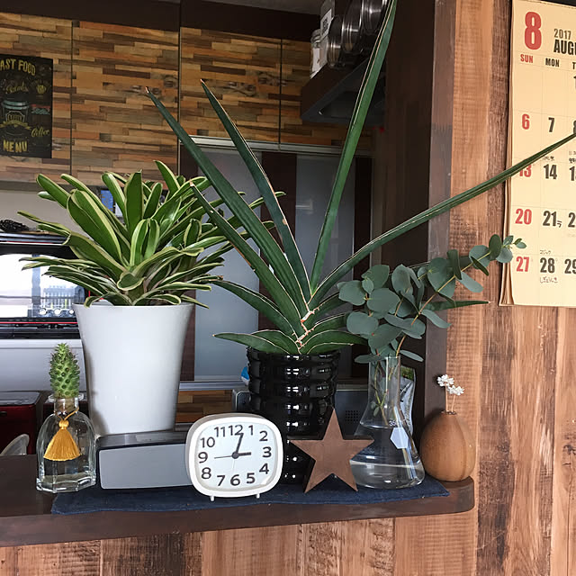 Dyさんの実例写真